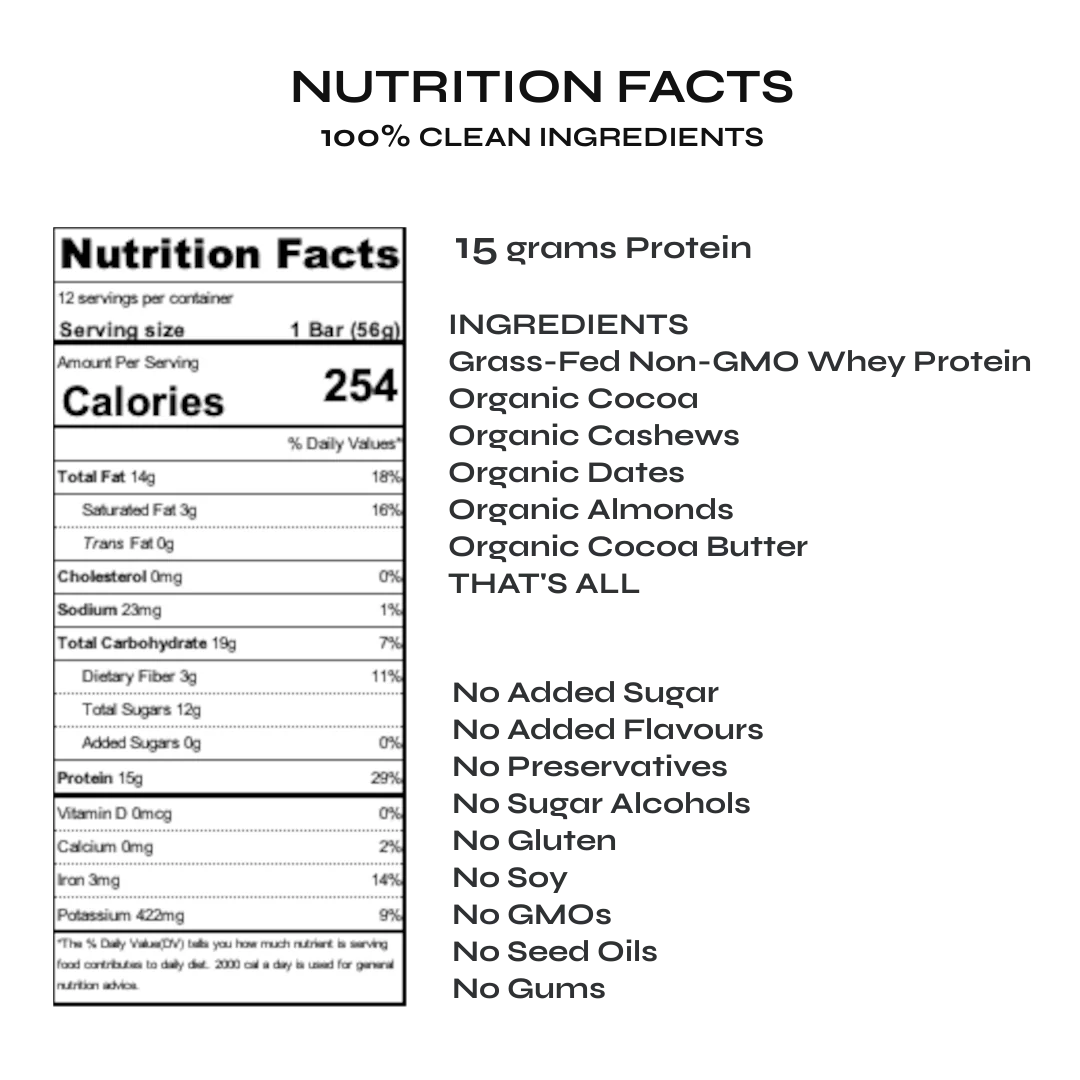 Chocolate Protein Bar