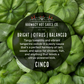 Cinco - Tomatillo & Tangerine (9oz)