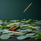 Bully Stick 2.5" Mini - All Natural Birchwood Flavored Human Chewing Sticks | BiteMyWood