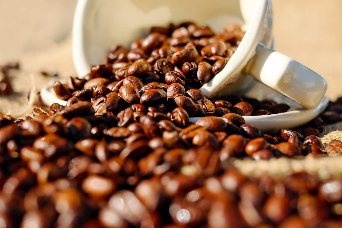 Mama's Daily Grind Decaf Espresso