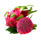 Freeze-Dried Red Dragon Fruit