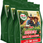 Vital 4U Essential 30-Day Multivitamin