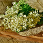 Elderflowers, Whole, Organic
