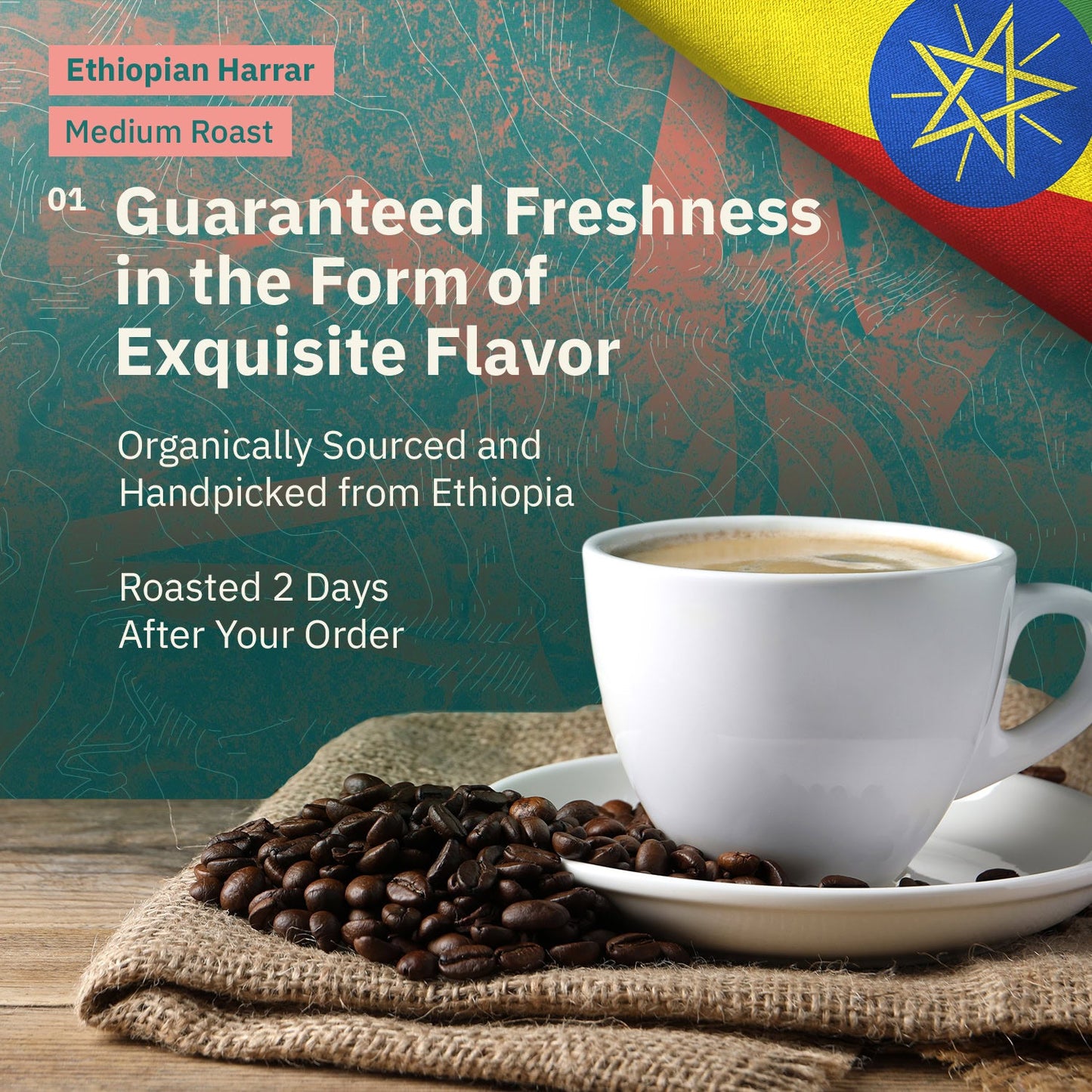 Kochere Coffee Ethiopian Harrar Coffee – Single Origin Natural Medium Roast - Fruity, Berry, Dark Chocolate Notes