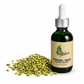 Fennel Seed Elixir
