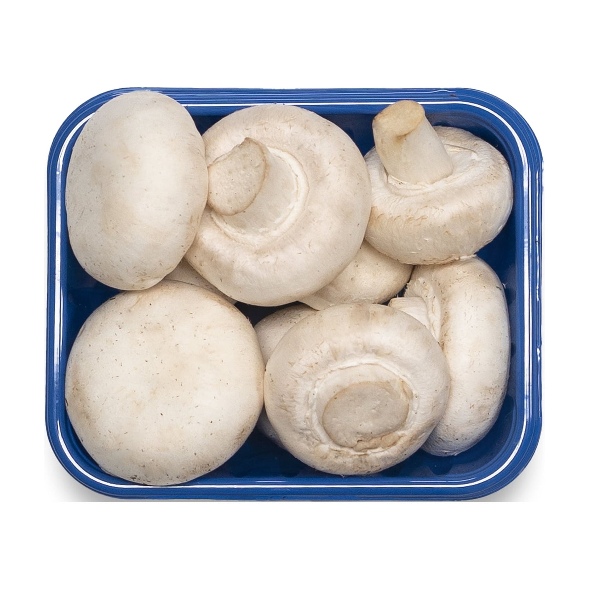Fresh Whole White Mushrooms, 8 Oz