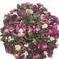 Oolong Loose Leaf Tea(1.5oz.)