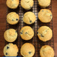 Gluten-Free Sourdough & Baking Flour | gfJules