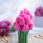 Tulip Scented Candle – Fresh Floral Soy Wax Candle