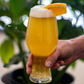 Grainwave 0.00% ABV Belgian-Style White Wholesale