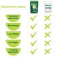 Matcha Moringa Superfood Latte