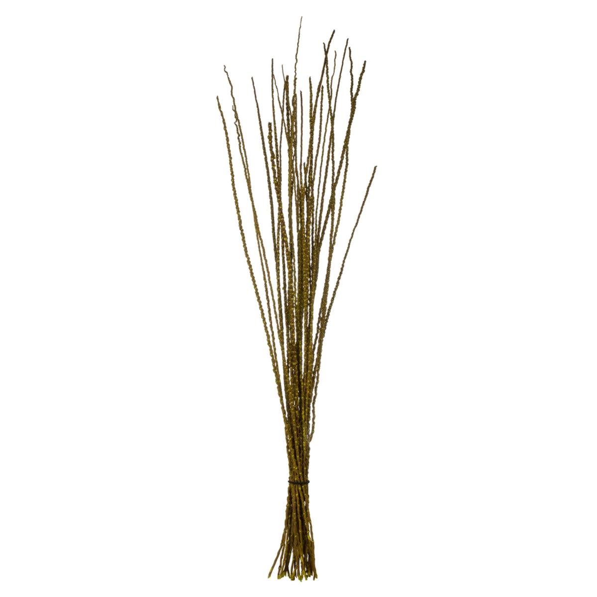 36-40 Lt Basil Caba Spines 24oz