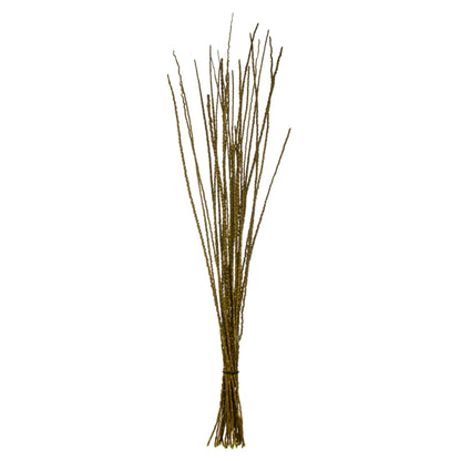 36-40 Lt Basil Caba Spines 24oz