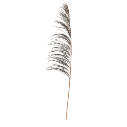 Vickerman 60-72 Mocha Uva Palm Spray standing between 60 to 72 inches tall. Pack of 10.