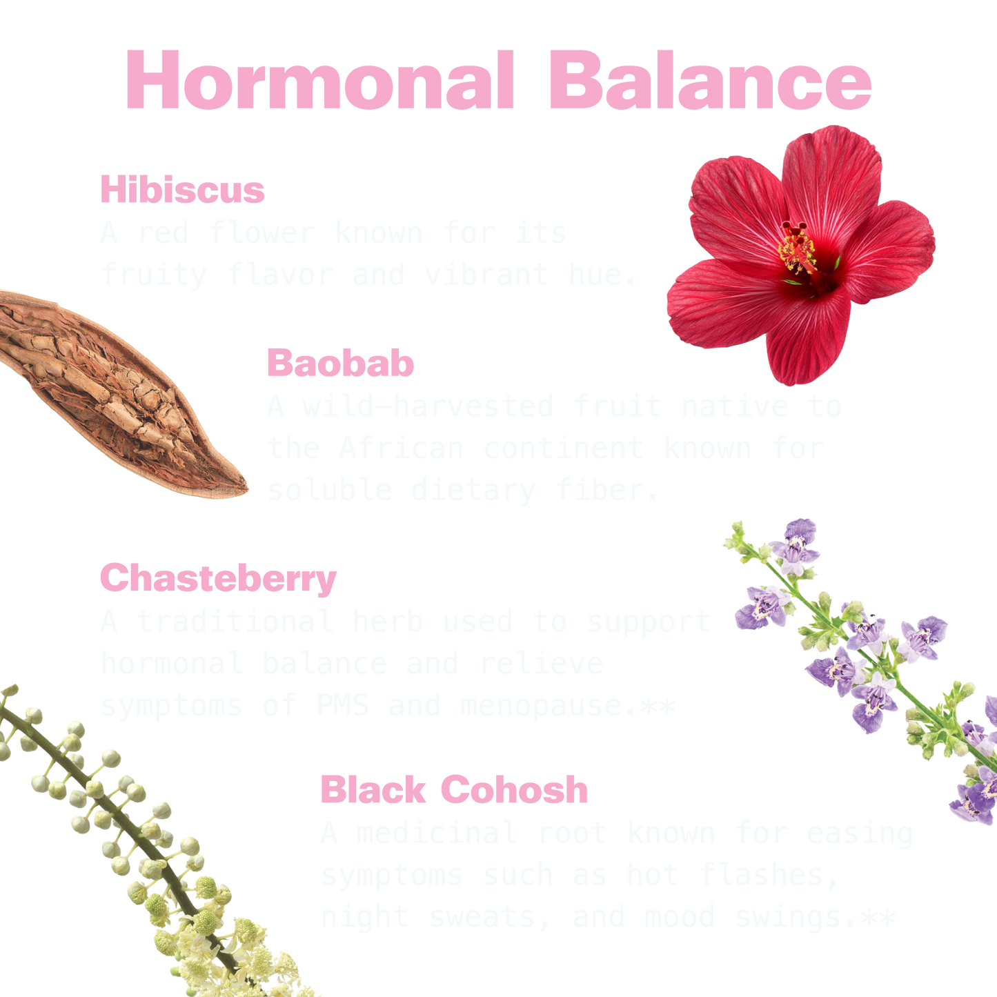 Her Power Superfood Drink Mix