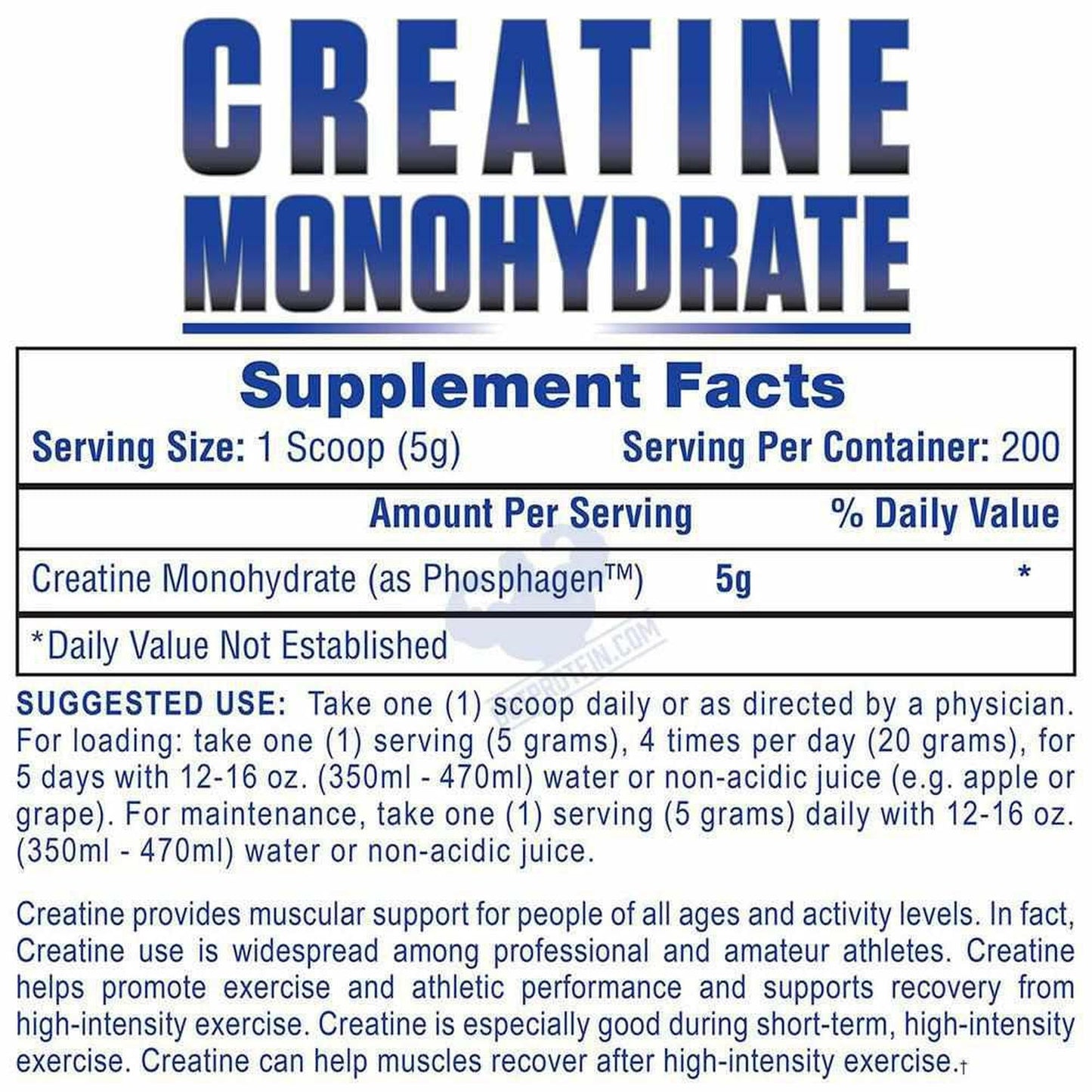 Hi-Tech Creatine Monohydrate 1000 g