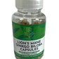 Lions Mane + Ginkgo Biloba
