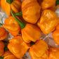 Pineapple Scotch Bonnett Chili Jam