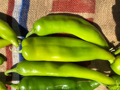 Fresh Hatch Green Chile, 2026 Harvest, 10 lb Box, Choose Your Heat, Shipped Fresh from New Mexico