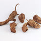 Brown Chipotle Pods - 6 OZ