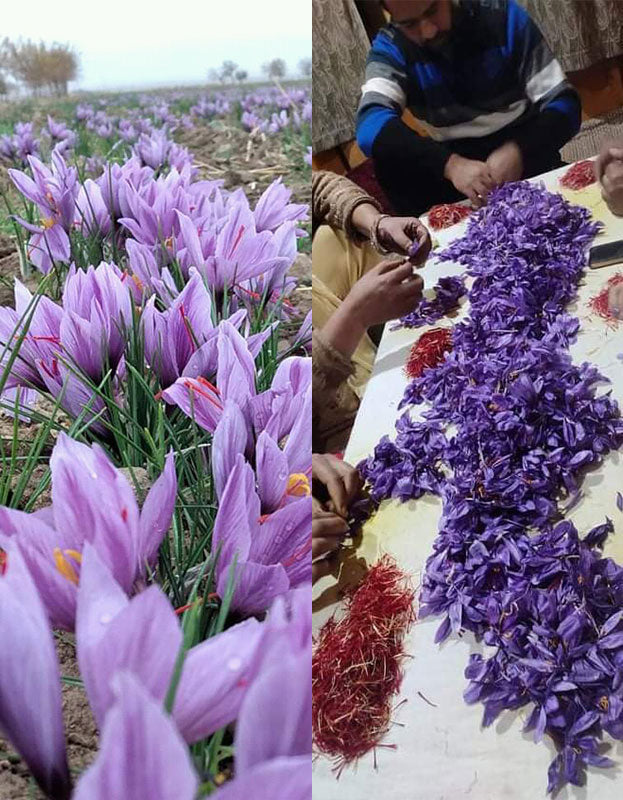 Kashmiri Saffron, Certified Organic - 1g