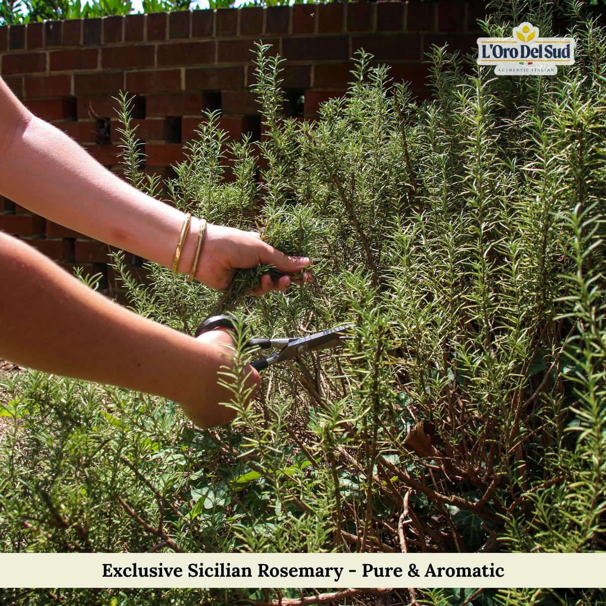 L'Oro Del Sud, Sicilian Rosemary Loose, 2.11 oz (60 g)