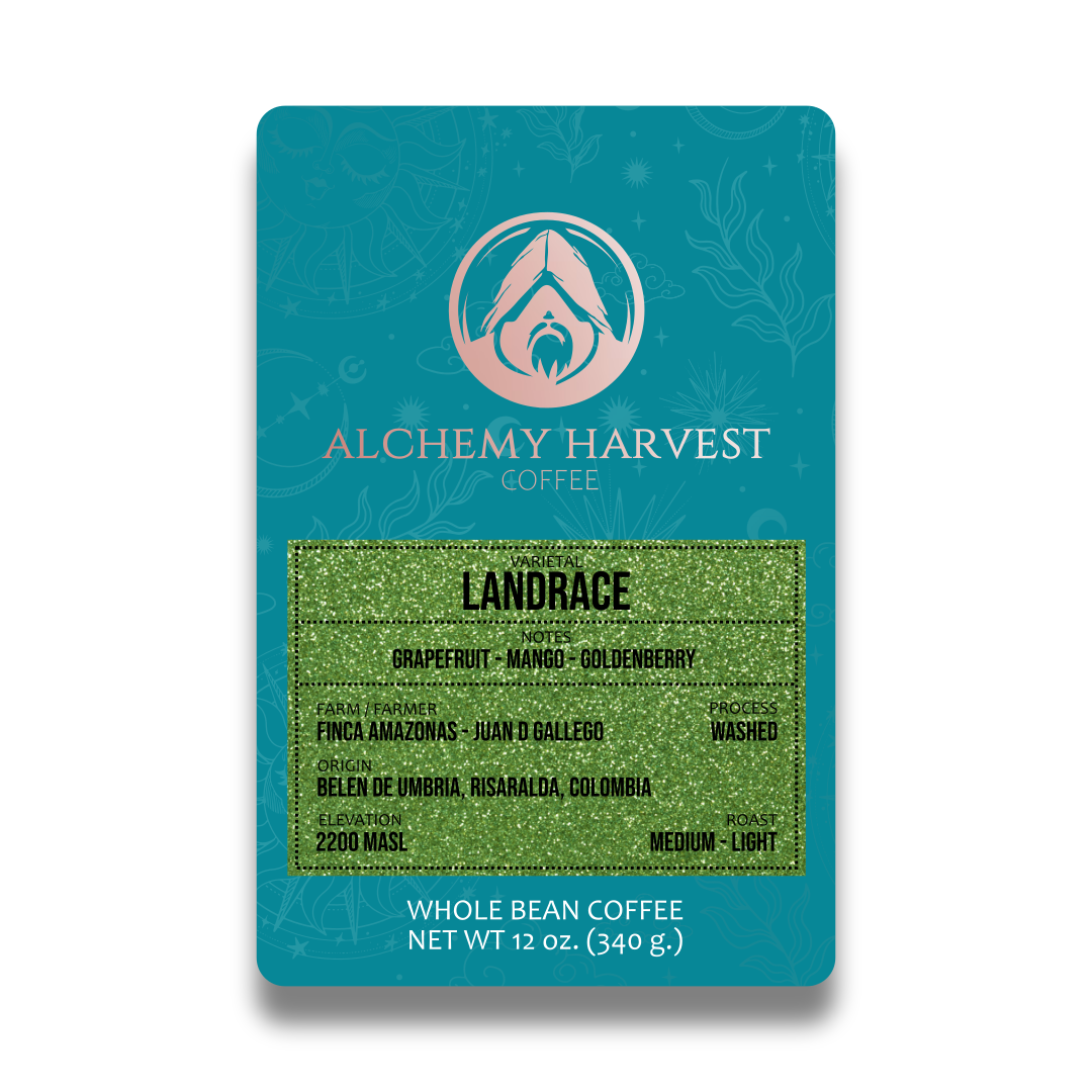 Landrace - Washed
