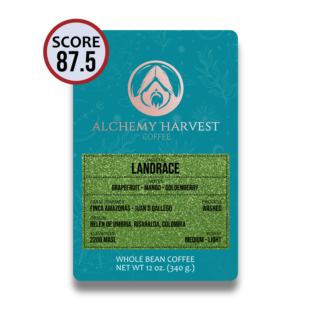 Landrace - Washed