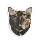 Faces Of Kitty Town Sticker Pack