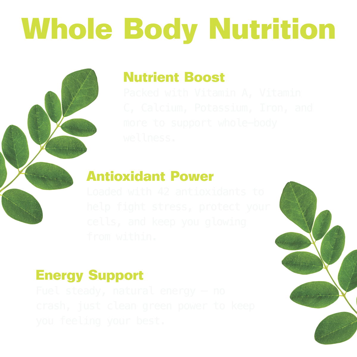 Pure Moringa Capsules for Energy