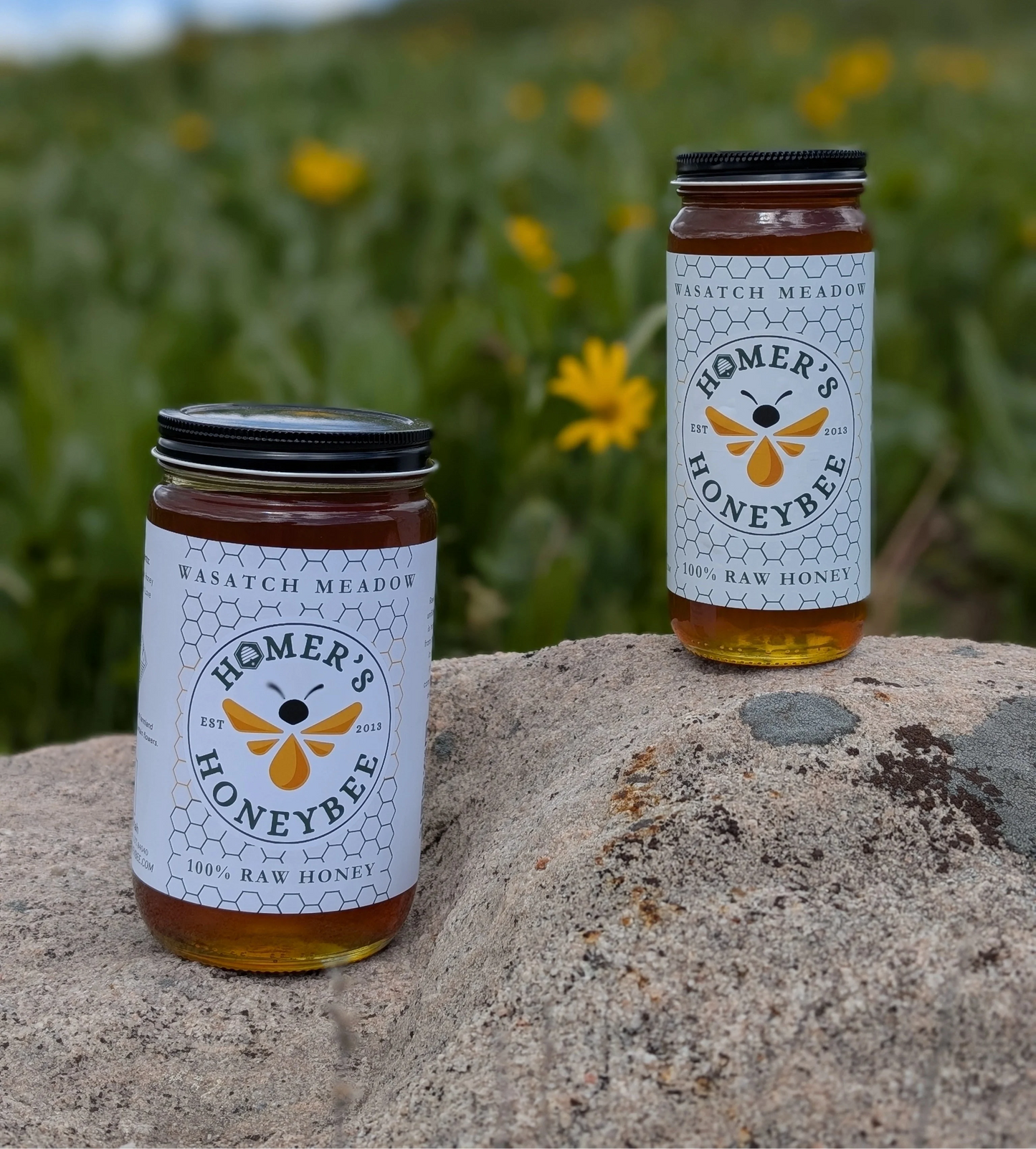 Wasatch Meadow - Mountain Meadow Raw Honey