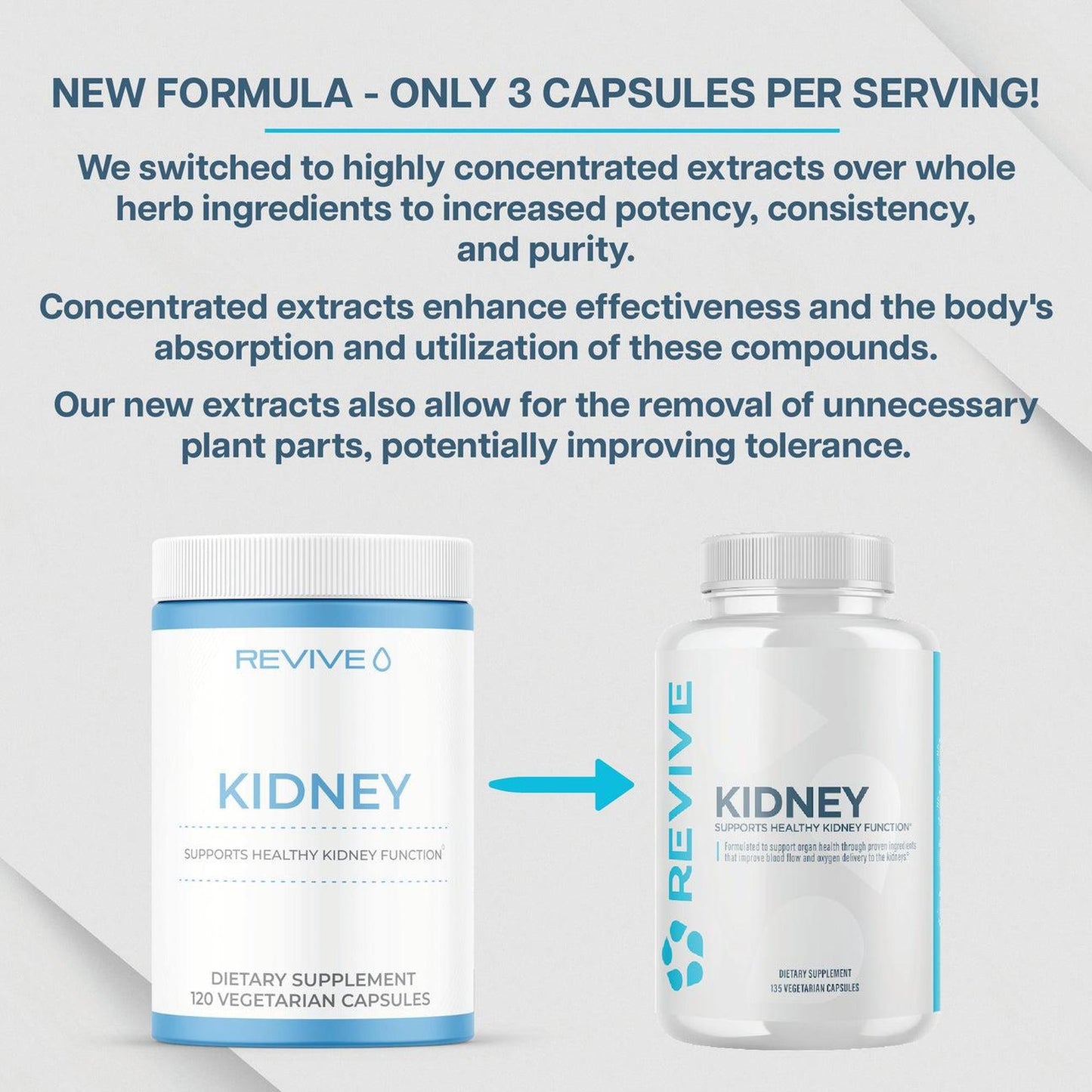 Revive Kidney Support Supplement