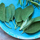 Sage Powder