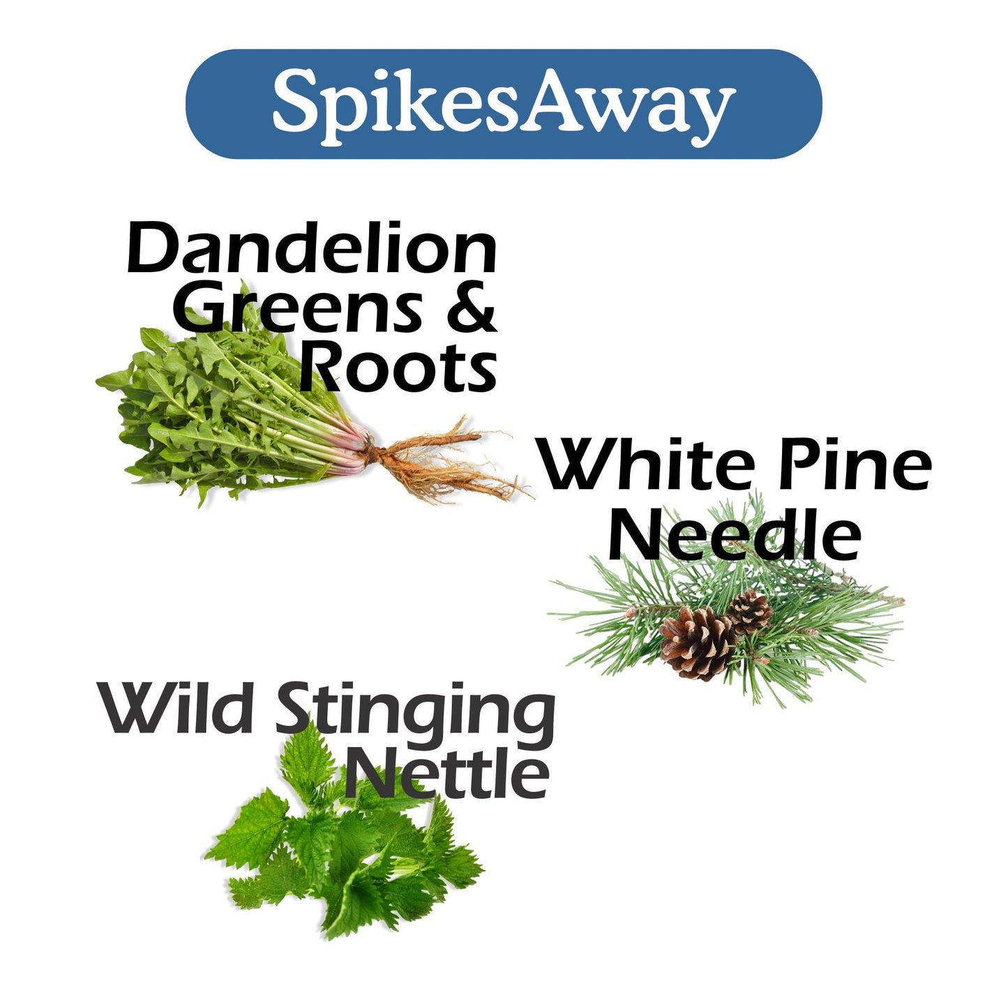 SpikesAway Bundle