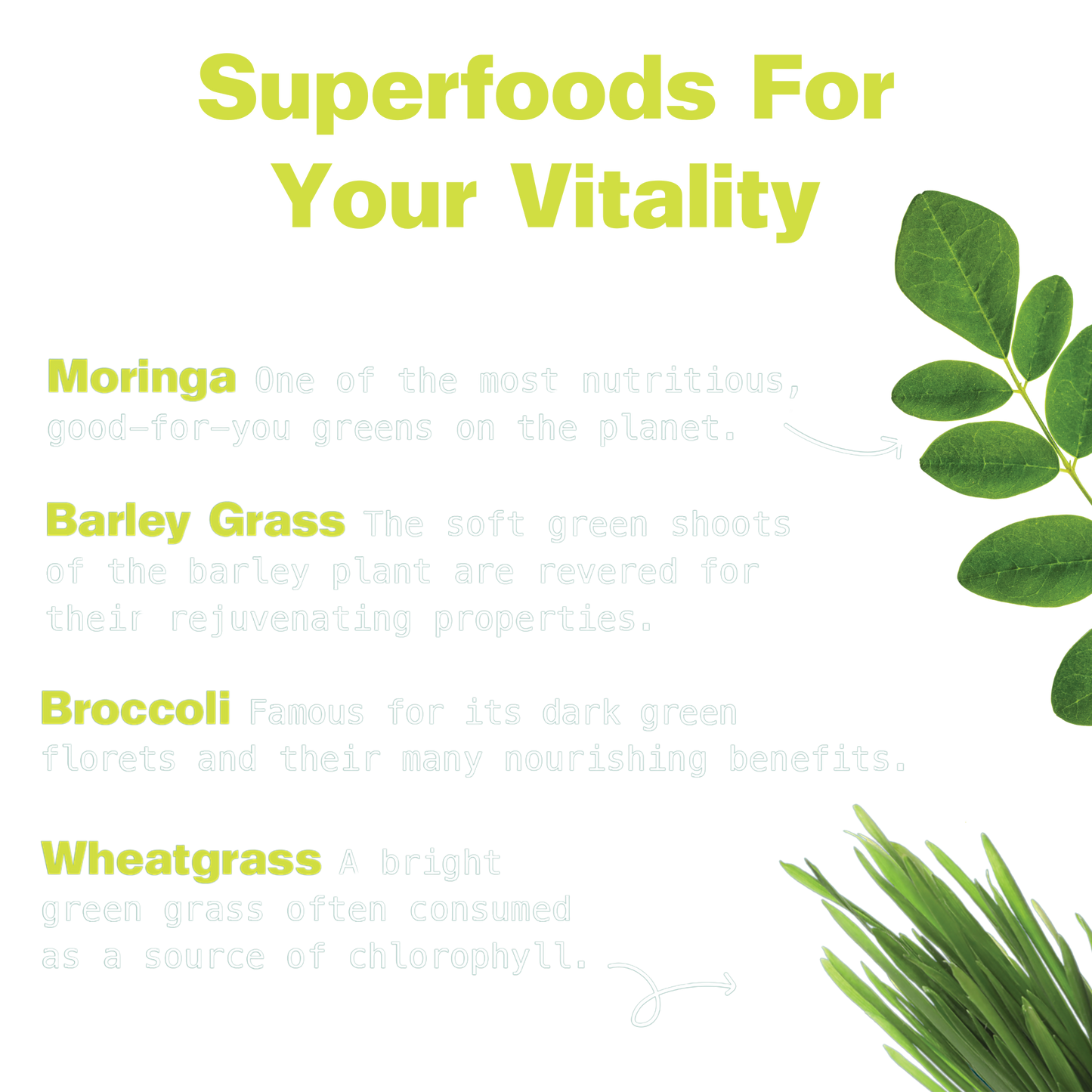 Super Greens Superfood Blend