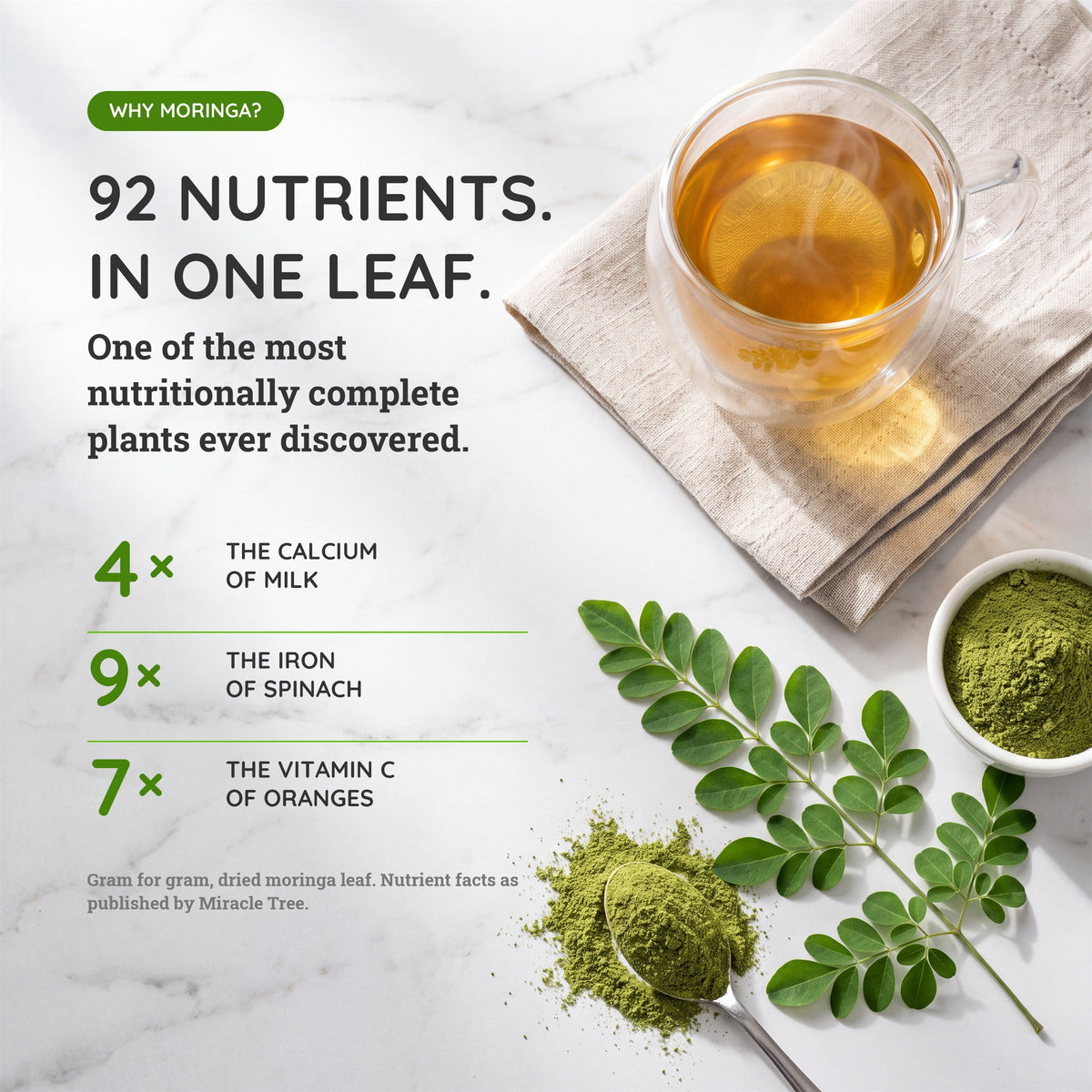 Organic Moringa Tea - Ginger - Caffeine-Free Herbal Tea