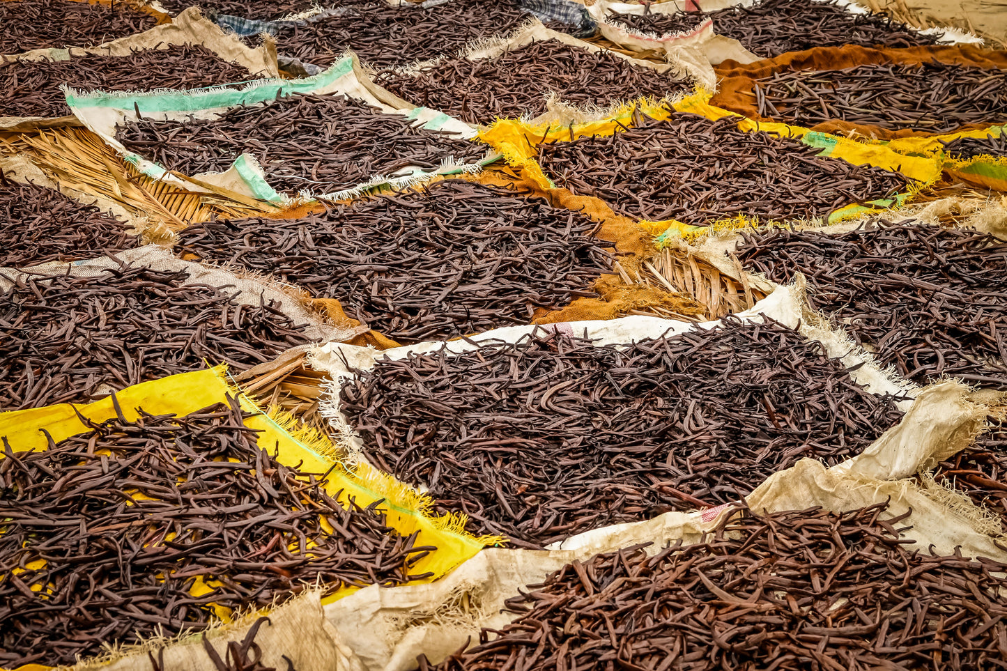 Papua New Guinea Vanilla Beans - Grade A Whole Pods