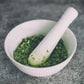 Basil Pesto Sauce