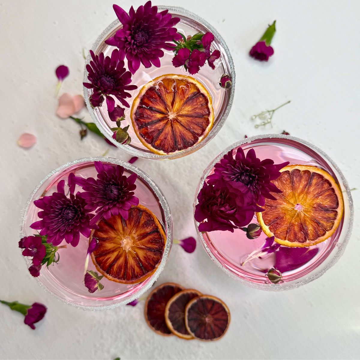 Dehydrated Blood Orange Slices | Dried Blood Oranges for Bar & Decor