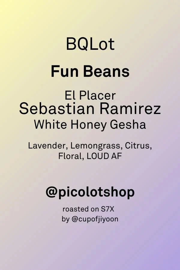 BRIAN QUAN X SEBASTIAN RAMIREZ GESHA WHITE HONEY