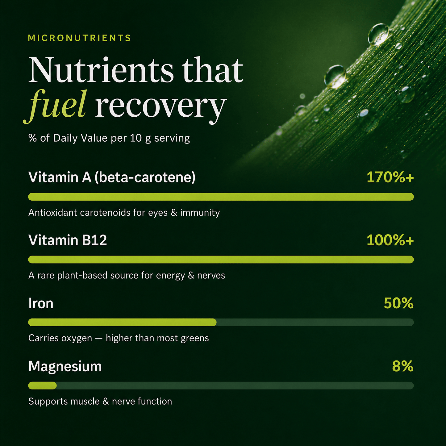 RECOVERYbits® Chlorella | Large Bag