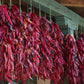 Ristras 12 inches: PRE-ORDER NOW!