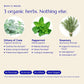 Digestion Tea