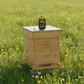 Sparkling Honey Sweetened Root Beer Soda Case