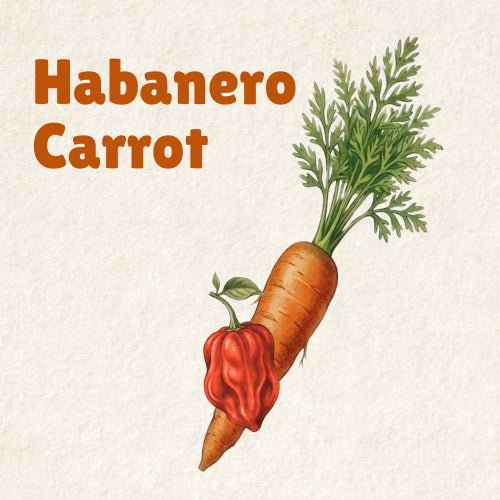 Habanero Carrot Hot Sauce