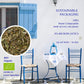 Ikaria Blue Zone Tea