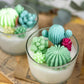 Succulent Cacti Candle with Glass Terrarium Garden Gift, Cactus Blossom Scent