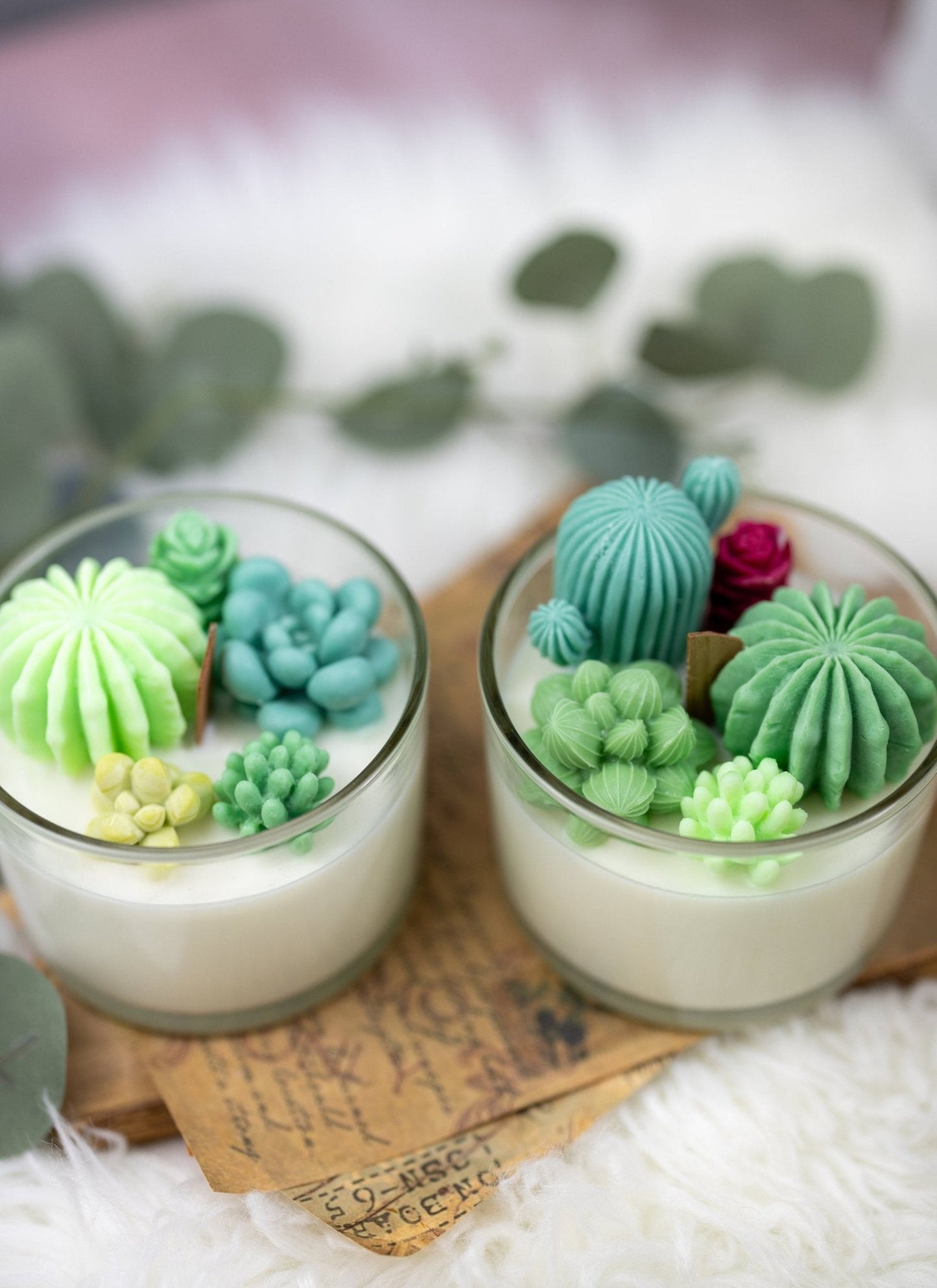 Succulent Cacti Candle with Glass Terrarium Garden Gift, Cactus Blossom Scent