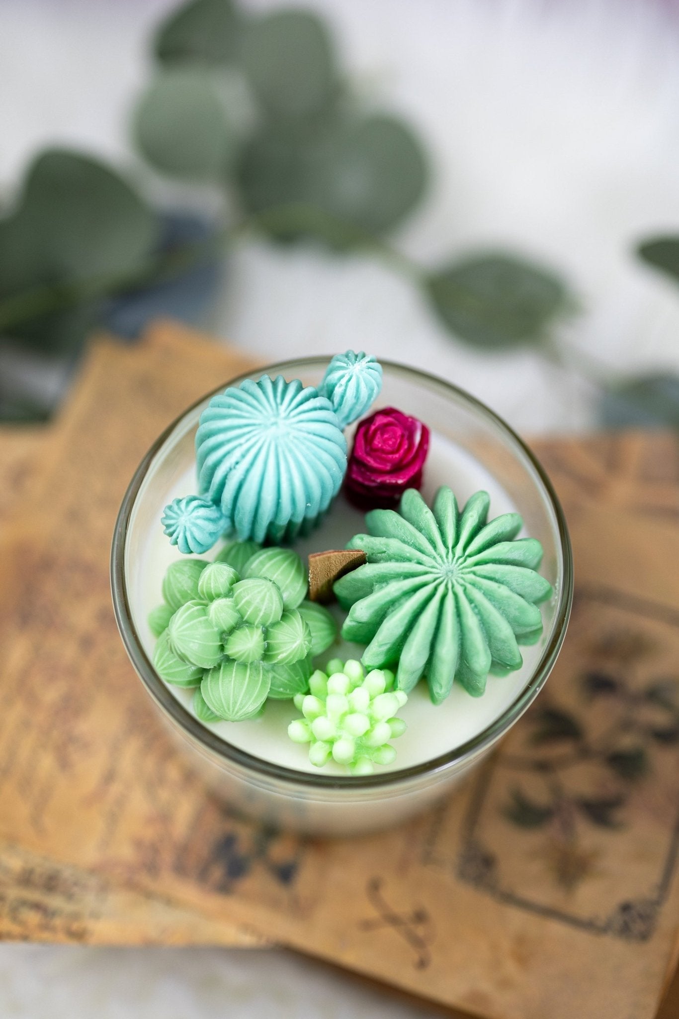 Succulent Cacti Candle with Glass Terrarium Garden Gift, Cactus Blossom Scent