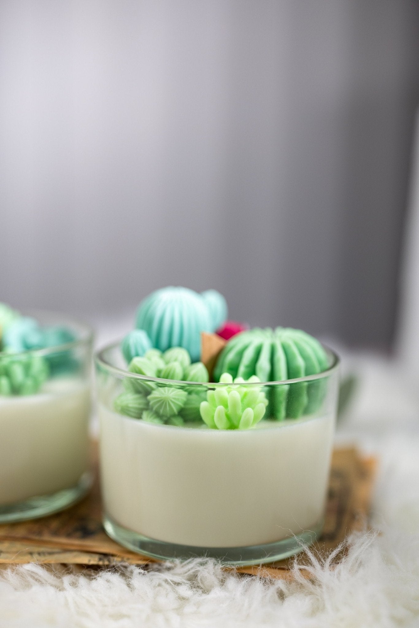 Succulent Cacti Candle with Glass Terrarium Garden Gift, Cactus Blossom Scent